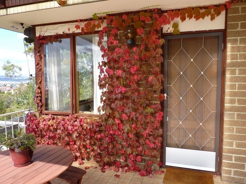 162 Marys Hope Road, Rosetta TAS 7010