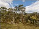Saddle Road, New Norfolk TAS 7140