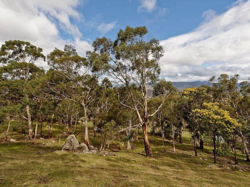 Saddle Road, New Norfolk TAS 7140