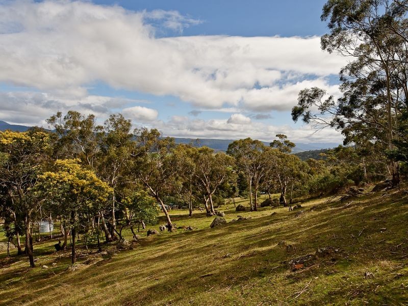 Saddle Road, New Norfolk TAS 7140