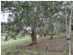 Saddle Road, New Norfolk TAS 7140