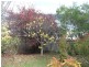 26 Swan Street, Bagdad TAS 7030
