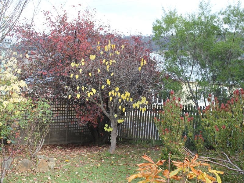 26 Swan Street, Bagdad TAS 7030