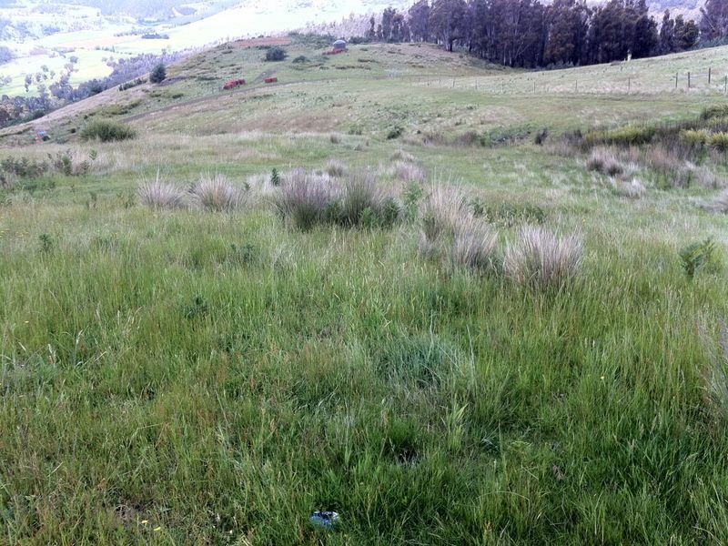 4/275 Horners Road, Elderslie TAS 7030