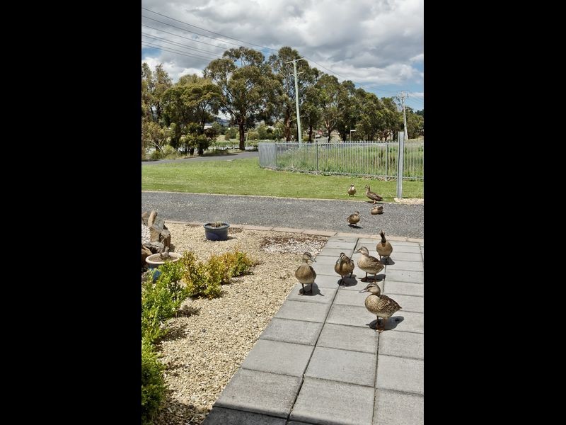 23 Hestercombe Road, Granton TAS 7030