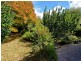 27 Catherine Street, Chigwell TAS 7011