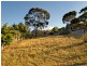 19 Deak Street, Gagebrook TAS 7030