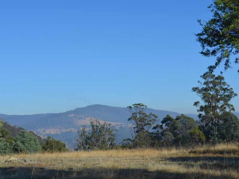 260 Ironstone Gully Road, Lachlan TAS 7140