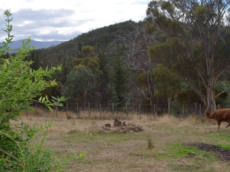 260 Ironstone Gully Road, Lachlan TAS 7140