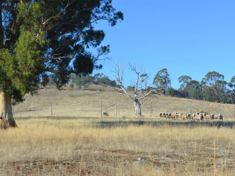 260 Ironstone Gully Road, Lachlan TAS 7140