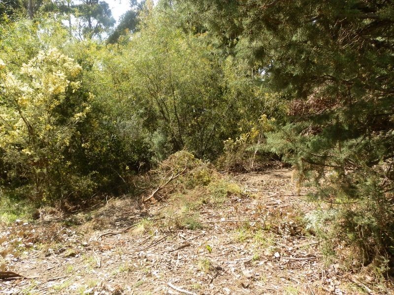 Lanes Road, Glen Huon TAS 7109