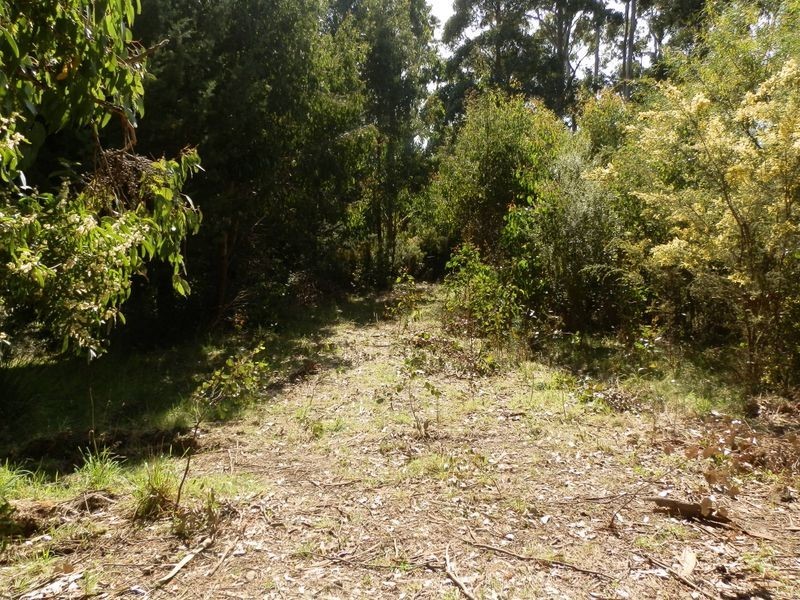 Lanes Road, Glen Huon TAS 7109