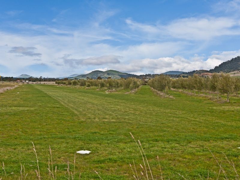 49 Tea Tree Road, Campania TAS 7026