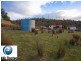388 Molesworth Road, Molesworth TAS 7140