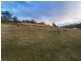 388 Molesworth Road, Molesworth TAS 7140