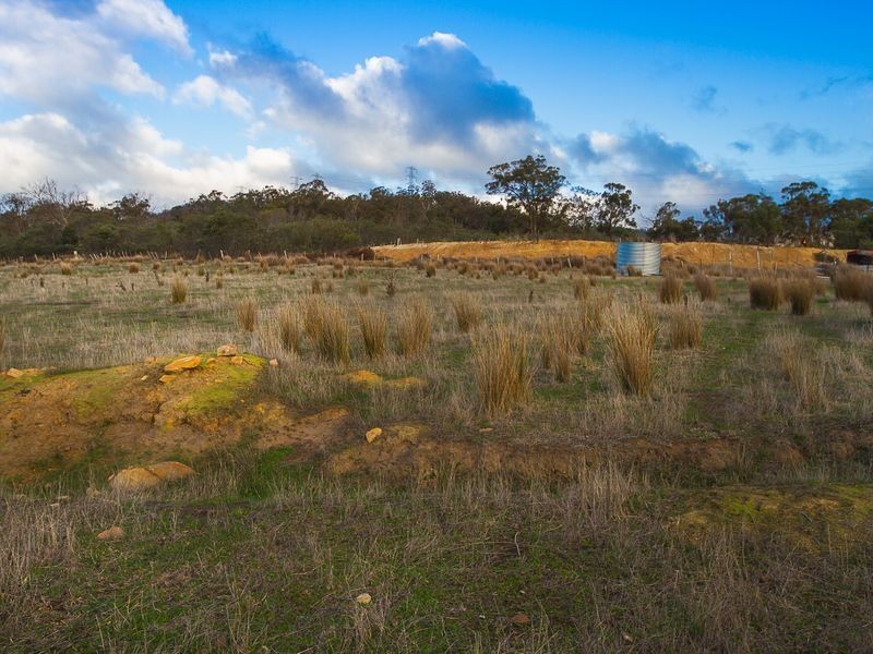 388 Molesworth Road, Molesworth TAS 7140