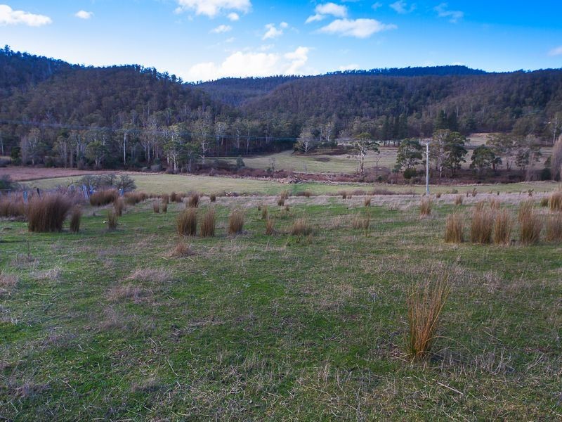 388 Molesworth Road, Molesworth TAS 7140