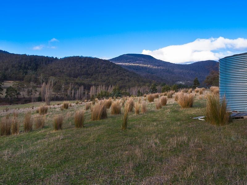 388 Molesworth Road, Molesworth TAS 7140
