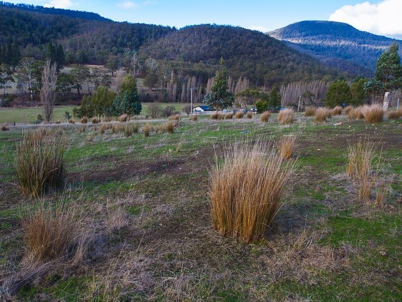 388 Molesworth Road, Molesworth TAS 7140