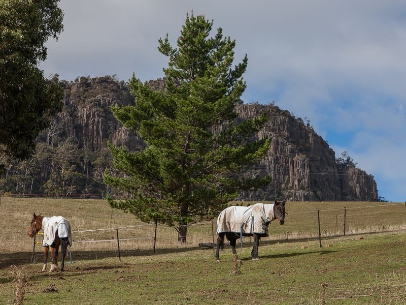 129 Gunners Quoin Rd, Old Beach TAS 7017