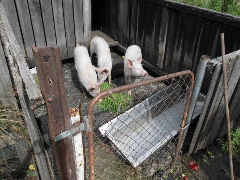 14 Cliffords Road, Gordon TAS 7150