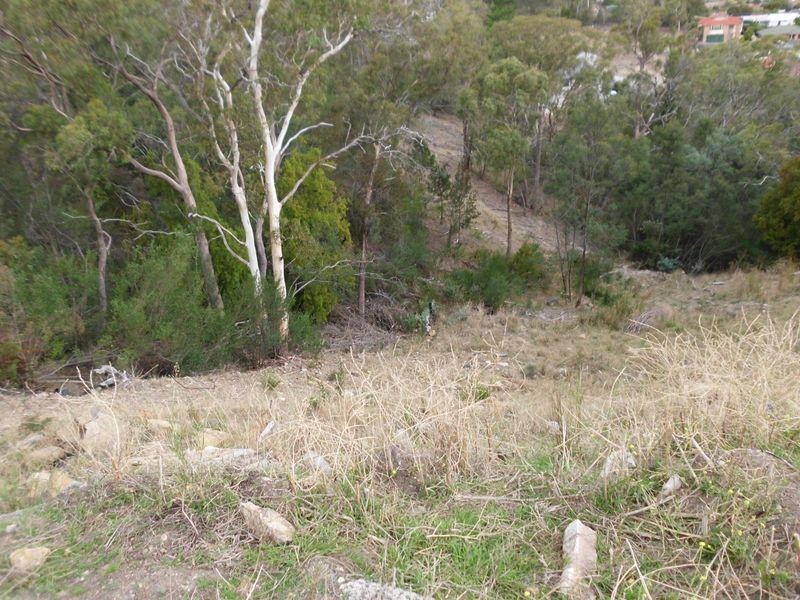 6 Skyline Drive, Howrah TAS 7018