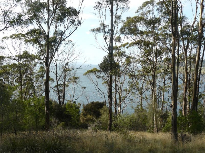 320 Tinderbox Road, Tinderbox TAS 7054