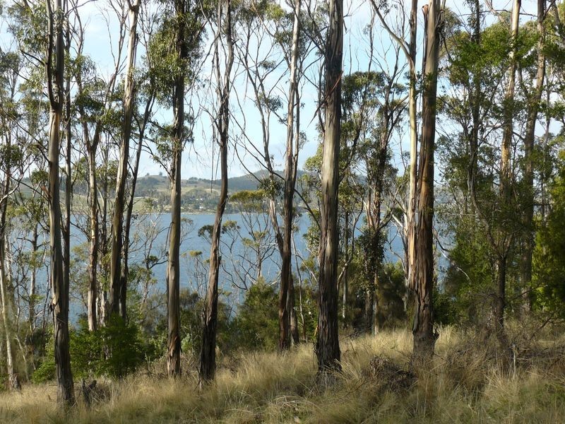 320 Tinderbox Road, Tinderbox TAS 7054