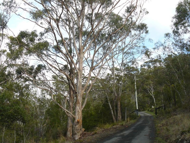 320 Tinderbox Road, Tinderbox TAS 7054