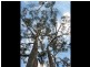 320 Tinderbox Road, Tinderbox TAS 7054