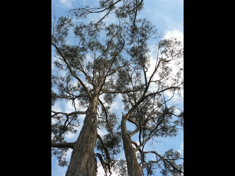 320 Tinderbox Road, Tinderbox TAS 7054