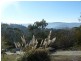 37 Alwyn Road, Lenah Valley TAS 7008