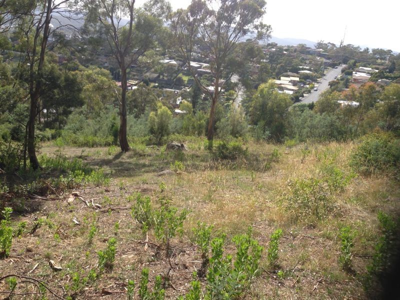 160a Springfield Avenue, West Moonah TAS 7009