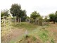 31 High Street, Oatlands TAS 7120