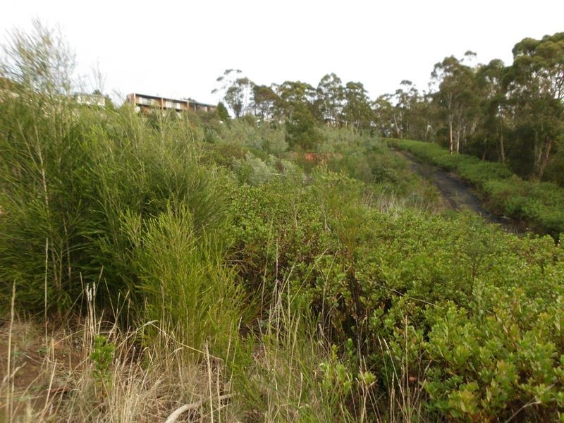 1/160B Springfield Avenue, West Moonah TAS 7009