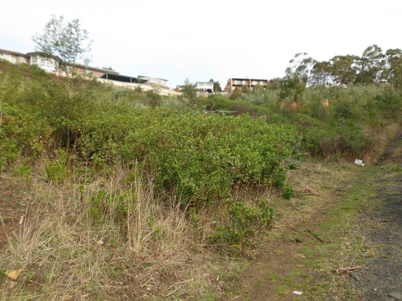 1/160B Springfield Avenue, West Moonah TAS 7009