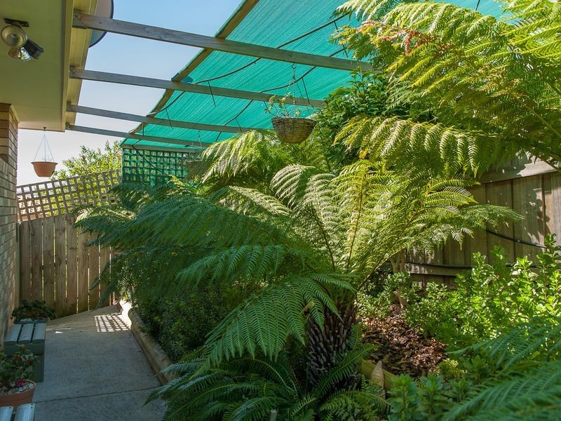 9 Nielson Drive, Montrose TAS 7010