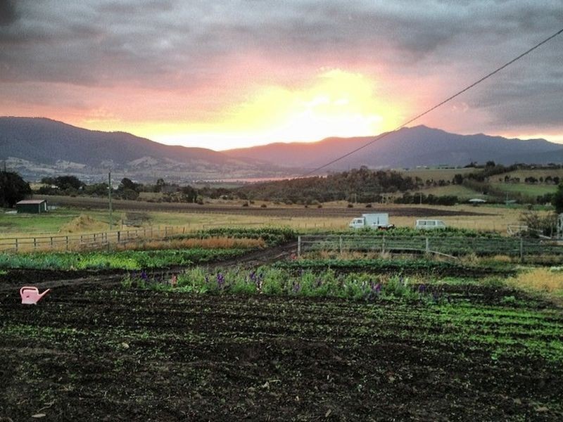 17 Yellow Brick Road, Old Beach TAS 7017