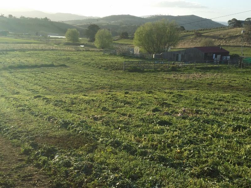 17 Yellow Brick Road, Old Beach TAS 7017