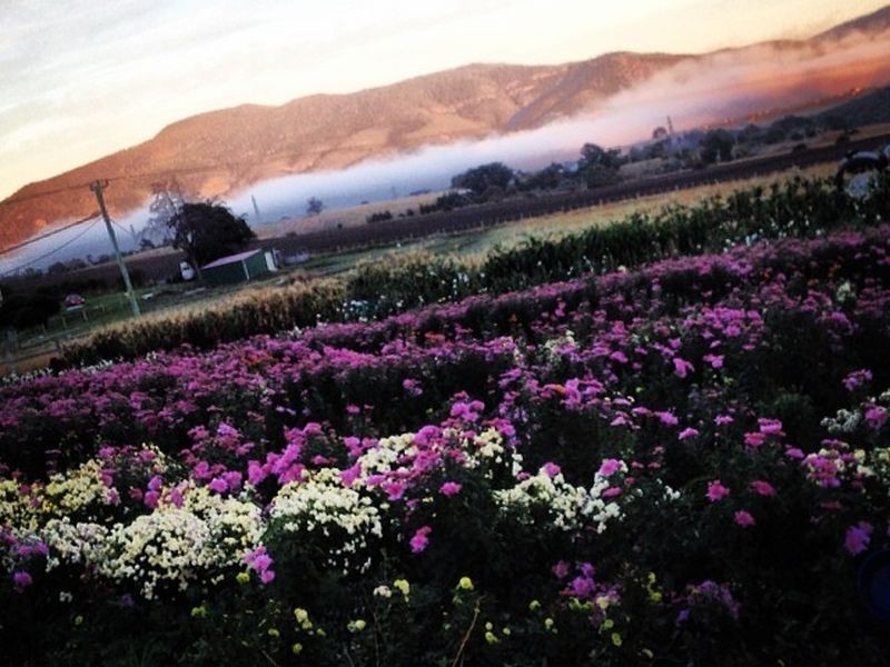 17 Yellow Brick Road, Old Beach TAS 7017