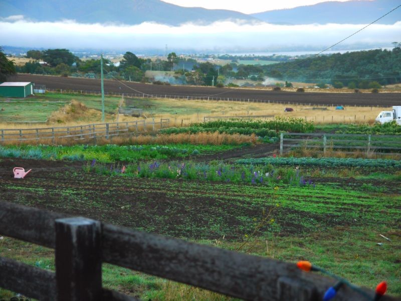 17 Yellow Brick Road, Old Beach TAS 7017