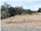 12 Tianari Drive, Honeywood TAS 7017