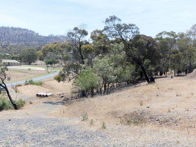 12 Tianari Drive, Honeywood TAS 7017