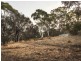 21 Haven Court, Rosny TAS 7018