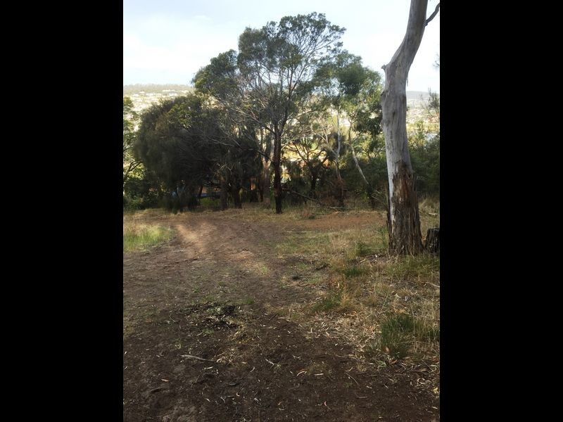 21 Haven Court, Rosny TAS 7018