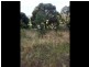 21 Haven Court, Rosny TAS 7018