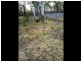 21 Haven Court, Rosny TAS 7018
