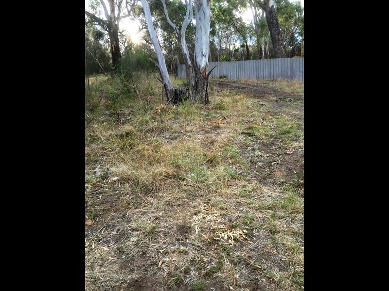 21 Haven Court, Rosny TAS 7018