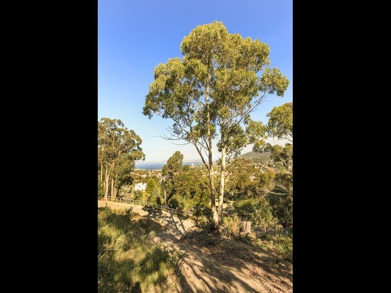 West Hobart TAS 7000