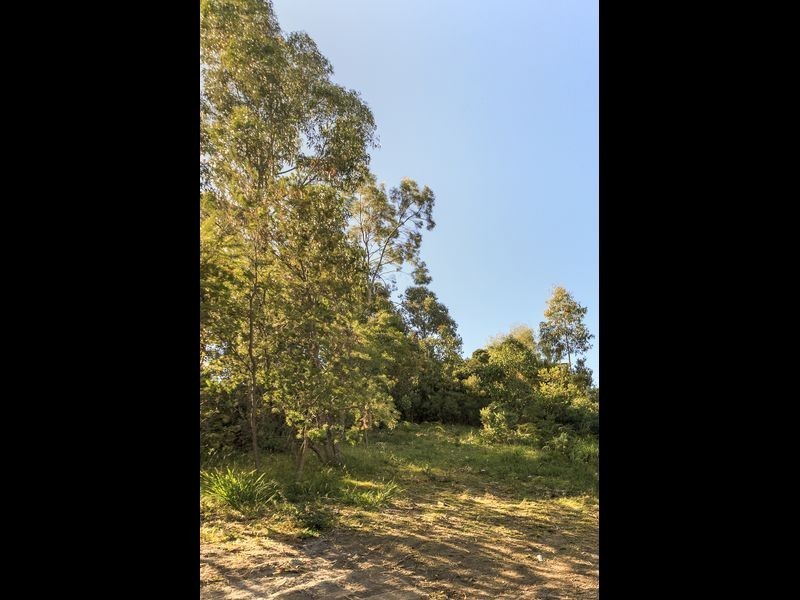 West Hobart TAS 7000